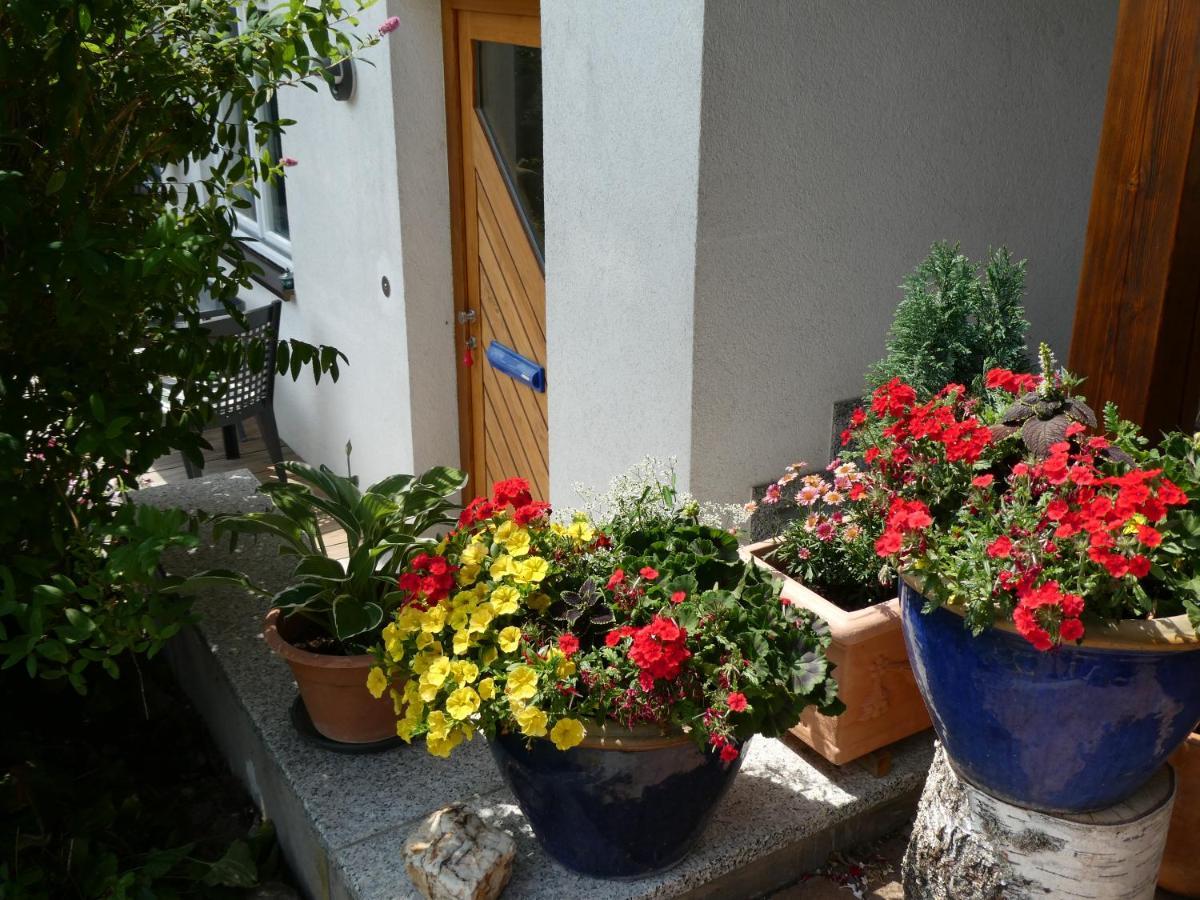 Ferienwohnung Mattenweg 1A Hinterzarten Luaran gambar