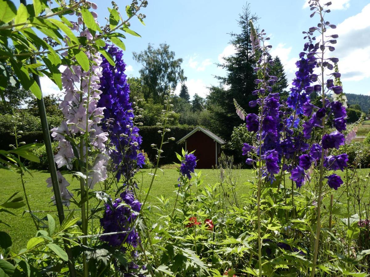 Ferienwohnung Mattenweg 1A Hinterzarten Luaran gambar
