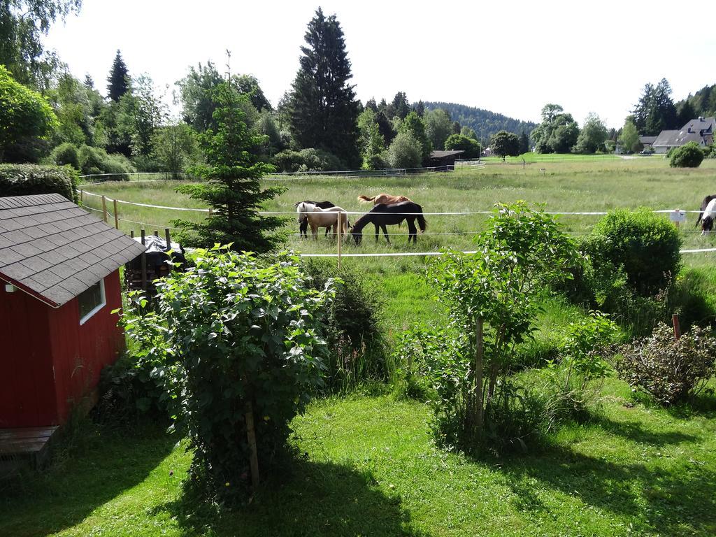 Ferienwohnung Mattenweg 1A Hinterzarten Luaran gambar