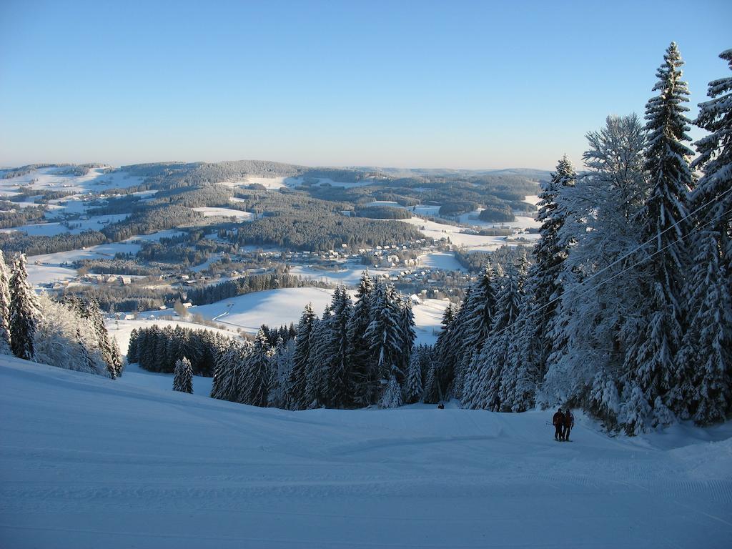 Ferienwohnung Mattenweg 1A Hinterzarten Bilik gambar